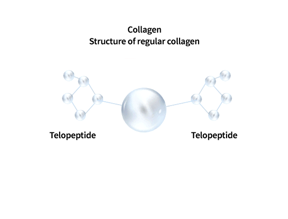 collagen structure of regular collagen Telopeptide